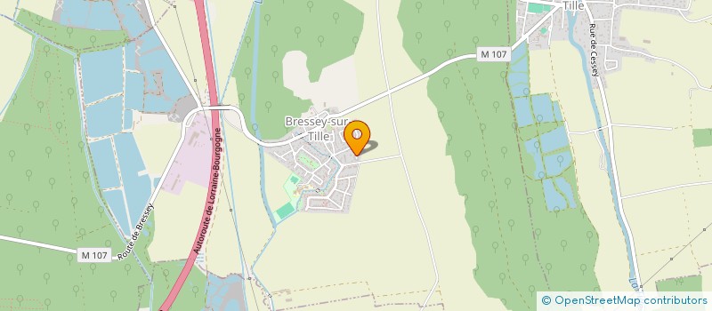 localisation de l'entreprise MADAME MARIE TRAVERSE  BRESSEY-SUR-TILLE