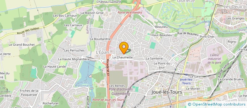 localisation de l'entreprise MADAME MARIE VARZY  JOUE-LES-TOURS