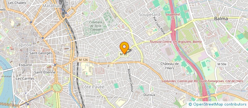 localisation de l'entreprise MADAME MARIE VAYSSE à TOULOUSE