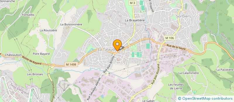 localisation de l'entreprise MADAME MARIE VERNAY  LA TALAUDIERE