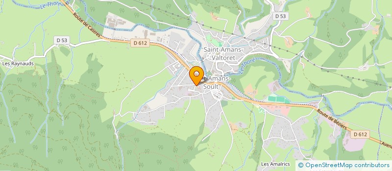 localisation de l'entreprise MADAME MARIE VERON  SAINT-AMANS-SOULT