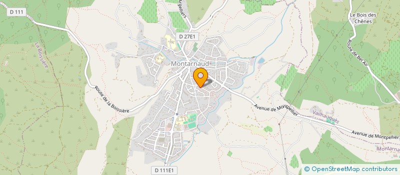 localisation de l'entreprise MADAME MARIE VIALLE  MONTARNAUD