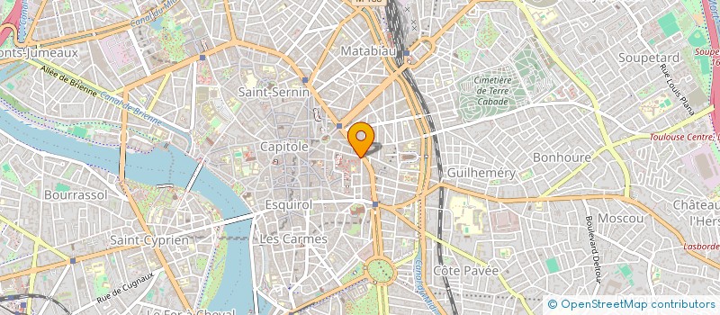 localisation de l'entreprise MADAME MARIE VILLARET LIGER DE CHAUVIGNY à TOULOUSE