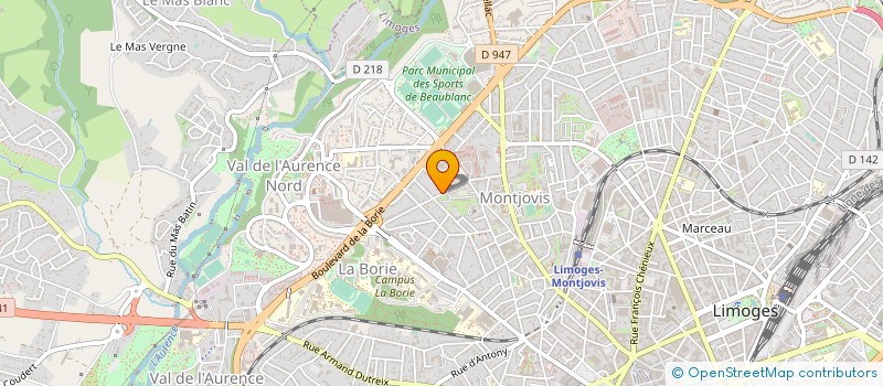 localisation de l'entreprise MADAME MARIE VILLEGOUREIX à LIMOGES