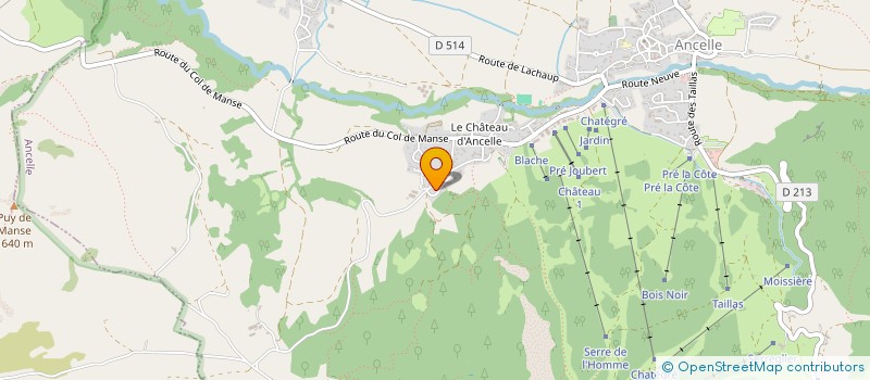 localisation de l'entreprise MADAME MARIE VINCENT  FOREST-SAINT-JULIEN