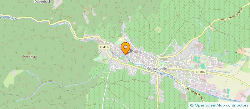 localisation de l'entreprise MADAME MARIE WASSER  RIBEAUVILLE