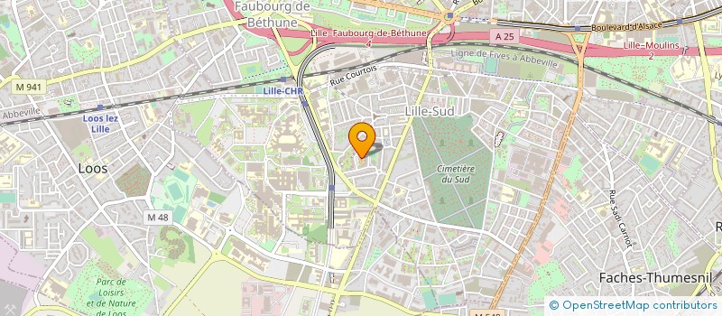 localisation de l'entreprise MADAME MARIE WOLFF à LILLE