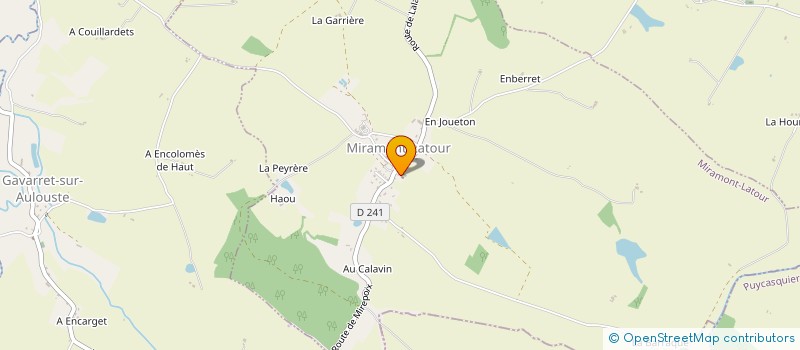 localisation de l'entreprise MADAME MARIE WOLSKI à MIREPOIX