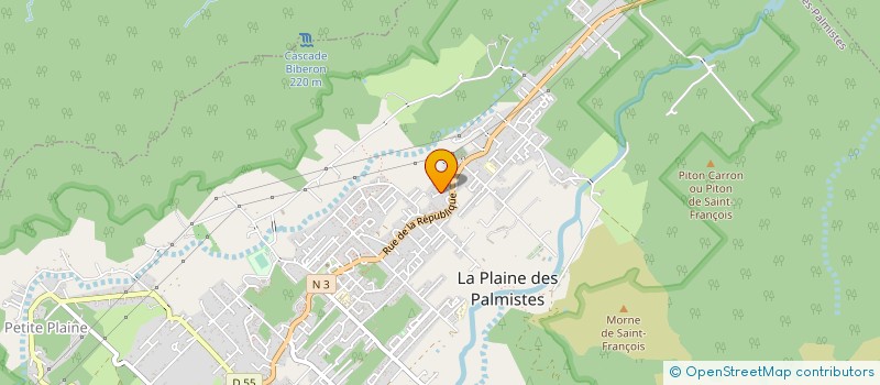 localisation de l'entreprise MADAME MARIE YVONNETTE GRONDIN  LA PLAINE-DES-PALMISTES