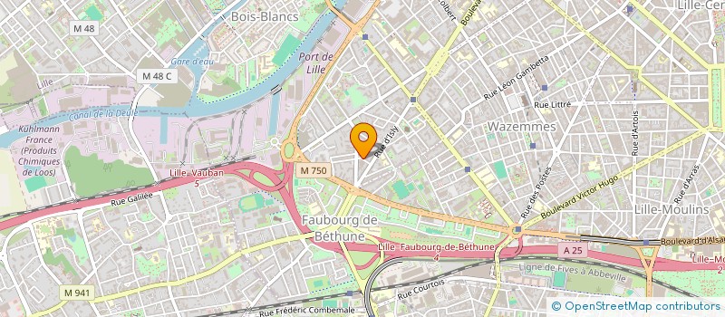localisation de l'entreprise MADAME MARIE ZDEBSKI à LILLE