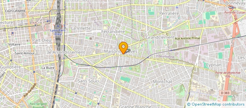 localisation de l'entreprise MADAME MARIE ZOO ADZESSA  VILLEURBANNE