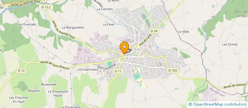 localisation de l'entreprise MADAME MARIEL FERNANDEZ RUEDA  CHAZELLES-SUR-LYON