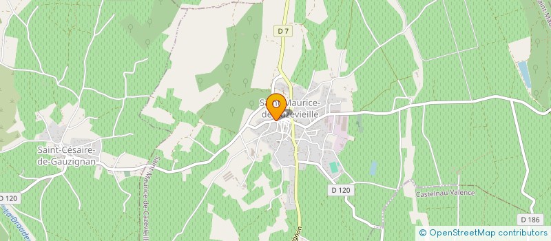 localisation de l'entreprise MADAME MARIELLE AUVERGNE  SAINT-MARTIN-DE-VALGALGUES