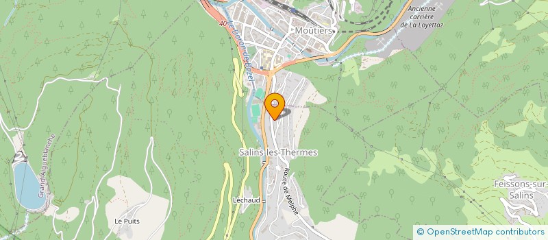 localisation de l'entreprise MADAME MARIELLE CHARDONNET  SALINS-FONTAINE