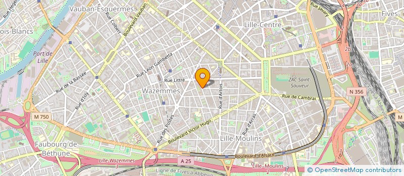 localisation de l'entreprise MADAME MARIELLE DALESME  LILLE