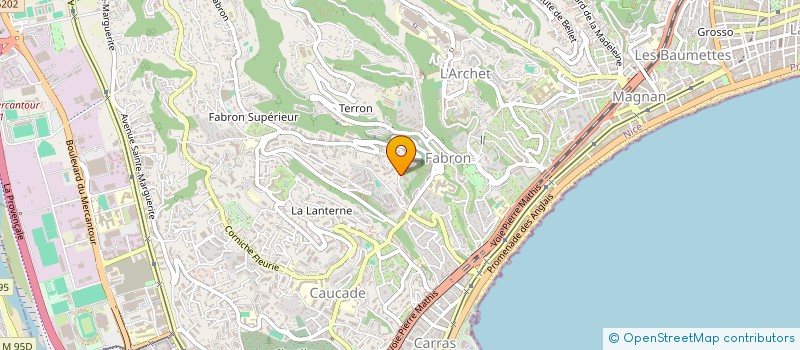 localisation de l'entreprise MADAME MARIIA AKULOVA à NICE