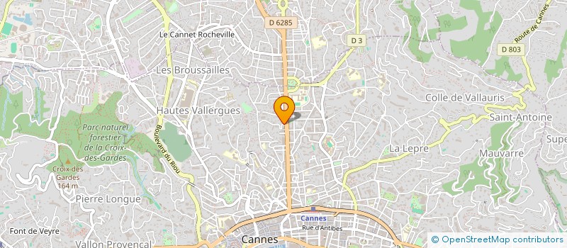 localisation de l'entreprise MADAME MARIIA LIPSKAIA  CANNES