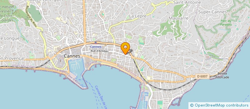 localisation de l'entreprise MADAME MARIIA SOLDATKINA  CANNES