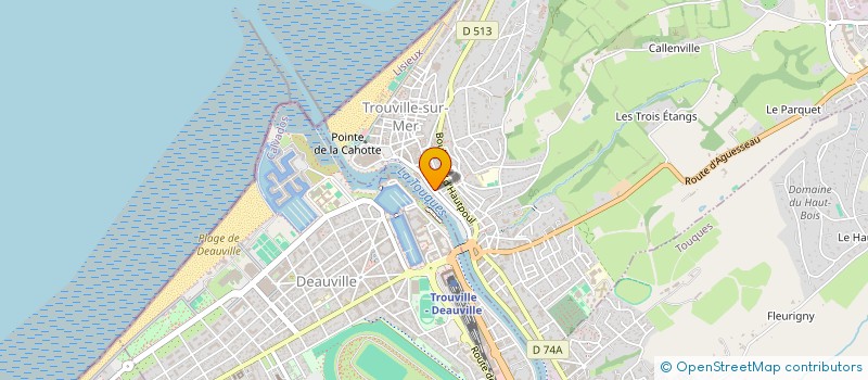 localisation de l'entreprise MADAME MARIJA BARTULIC  TROUVILLE-SUR-MER