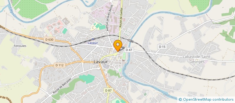 localisation de l'entreprise MADAME MARILOU HARGOUS  LAVAUR