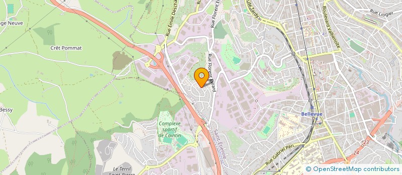 localisation de l'entreprise MADAME MARILYN POINAS  SAINT-ETIENNE