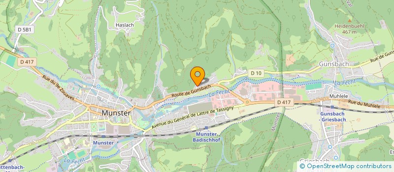 localisation de l'entreprise MADAME MARILYNE PAROLINI  MUNSTER