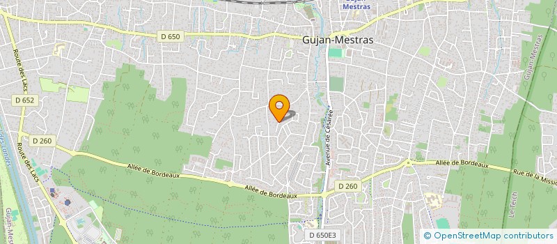 localisation de l'entreprise MADAME MARINA ALLION  GUJAN-MESTRAS