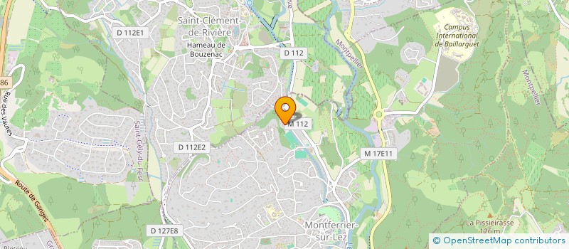 localisation de l'entreprise MADAME MARINA AMSELLEM  MONTFERRIER-SUR-LEZ