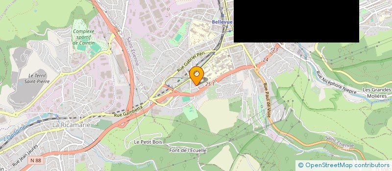 localisation de l'entreprise MADAME MARINA CAPALDI  SAINT-ETIENNE