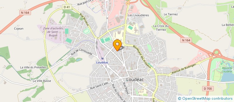 localisation de l'entreprise MADAME MARINA COGUIC à LOUDEAC