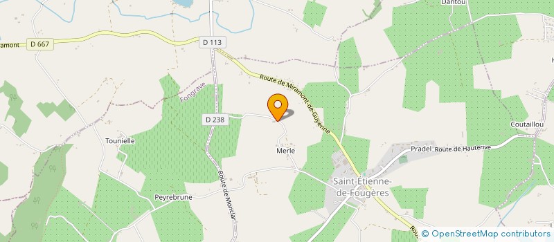 localisation de l'entreprise MADAME MARINA COUSSEAU  SAINT-ETIENNE-DE-FOUGERES