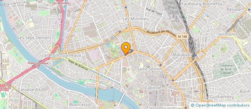 localisation de l'entreprise MADAME MARINA DIOUMA TENE CAMARA à TOULOUSE