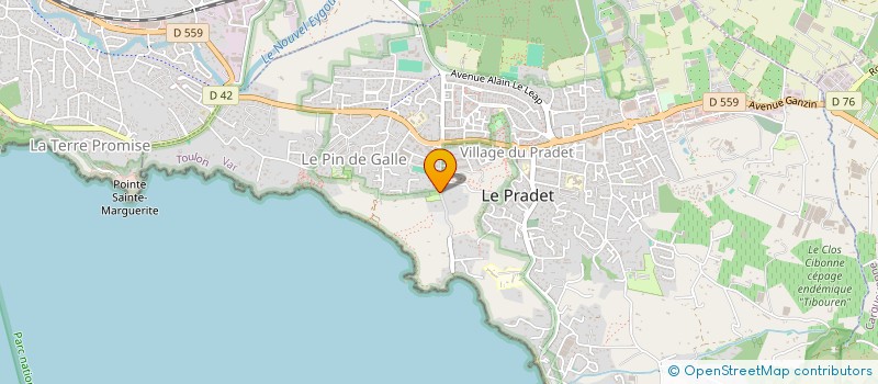 localisation de l'entreprise MADAME MARINA FRATICELLI  LE PRADET