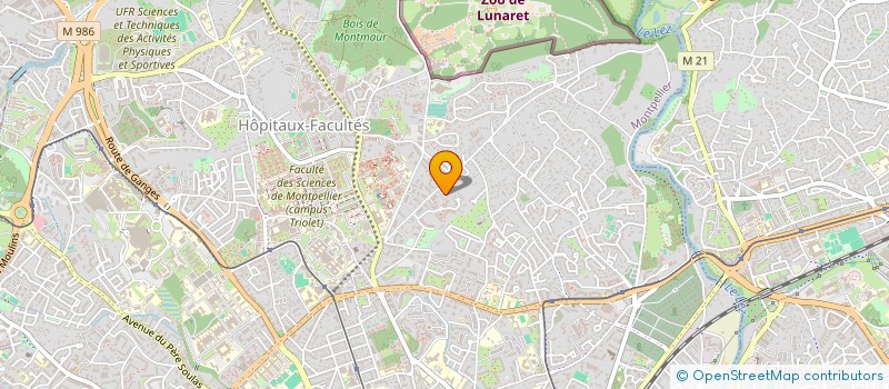 localisation de l'entreprise MADAME MARINA HAUMONT à MONTPELLIER