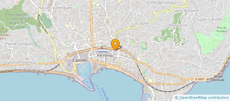 localisation de l'entreprise MADAME MARINA LEFORESTIER à CANNES