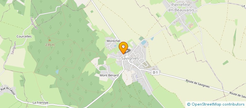 localisation de l'entreprise MADAME MARINA MARECHAL  SAVIGNIES