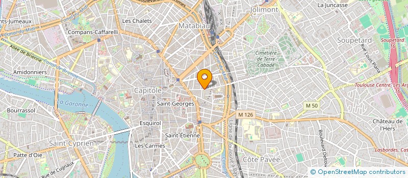 localisation de l'entreprise MADAME MARINA MASGRAU MIAS  TOULOUSE