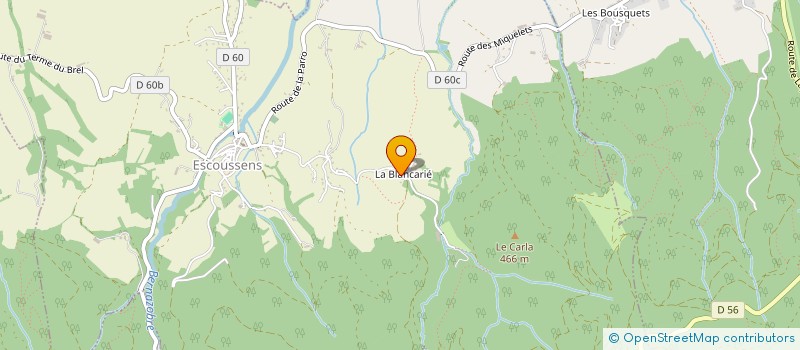 localisation de l'entreprise MADAME MARINA MENBEUF  ESCOUSSENS