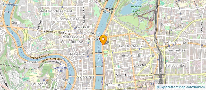 localisation de l'entreprise MADAME MARINA MENUGE  LYON