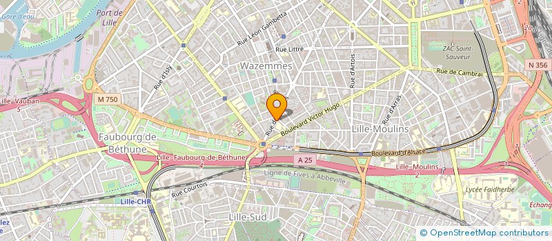 localisation de l'entreprise MADAME MARINA NSAM à LILLE