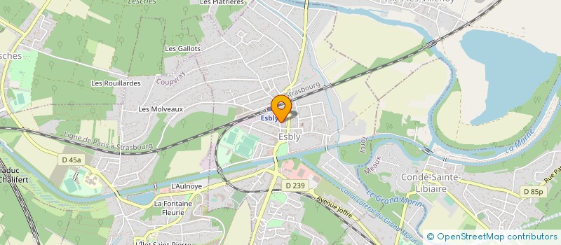 localisation de l'entreprise MADAME MARINA NUNES à ESBLY