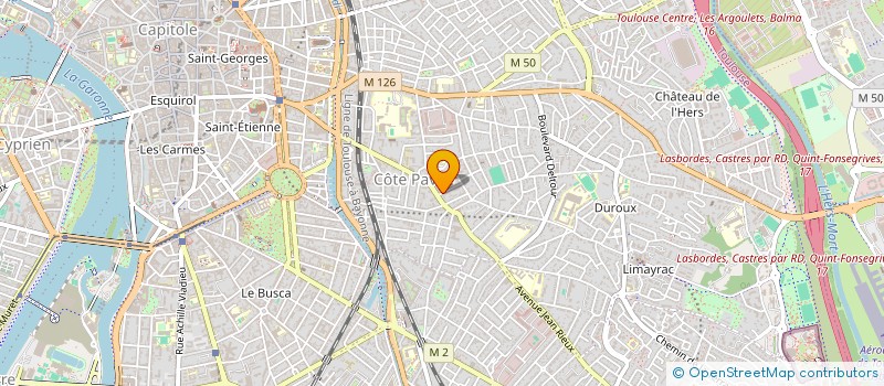 localisation de l'entreprise MADAME MARINA PERUZZO à TOULOUSE