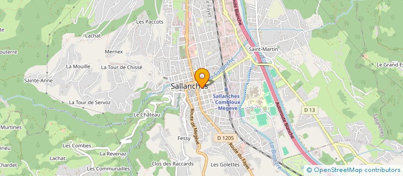 localisation de l'entreprise MADAME MARINA RIBEIRO  SALLANCHES