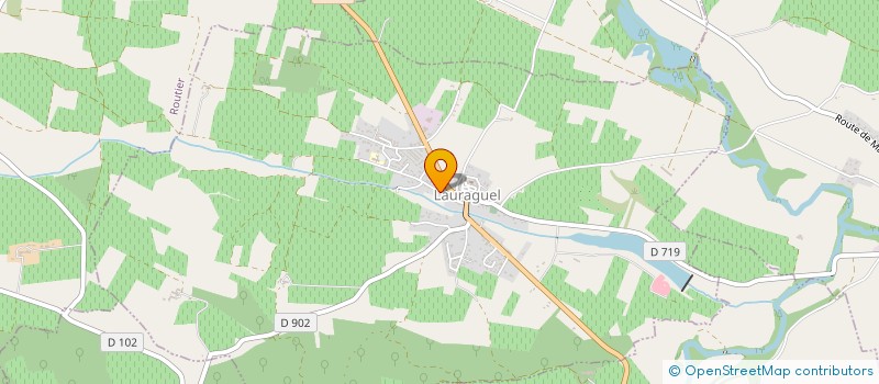 localisation de l'entreprise MADAME MARINA RIEPPI  LAURAGUEL