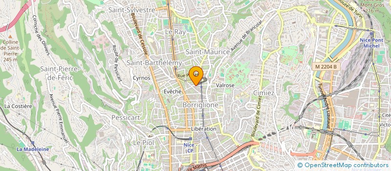 localisation de l'entreprise MADAME MARINA ROBU  NICE