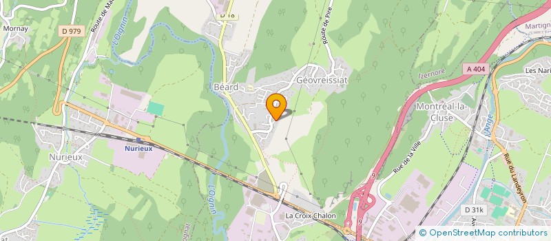 localisation de l'entreprise MADAME MARINA ROCAS  BEARD-GEOVREISSIAT