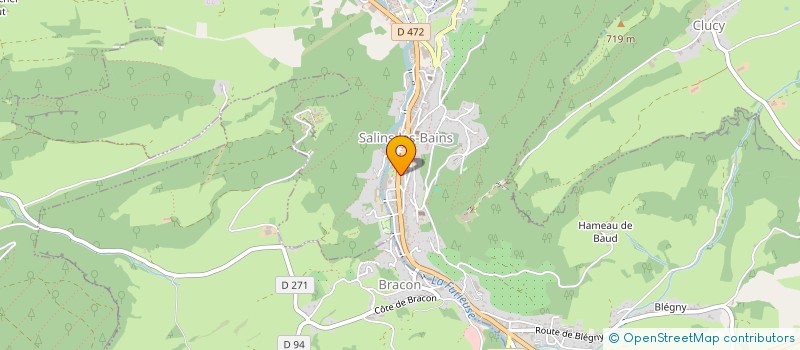 localisation de l'entreprise MADAME MARINA SCHMIDT  SALINS-LES-BAINS