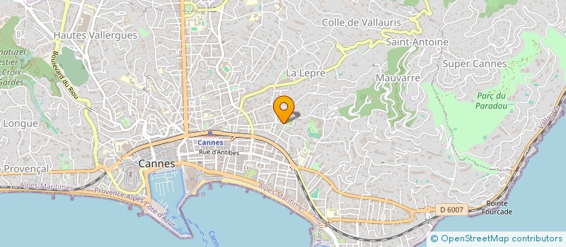 localisation de l'entreprise MADAME MARINA SOLOVIEVA à CANNES