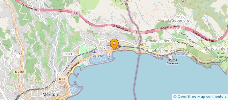 localisation de l'entreprise MADAME MARINA TRINCANU à MENTON