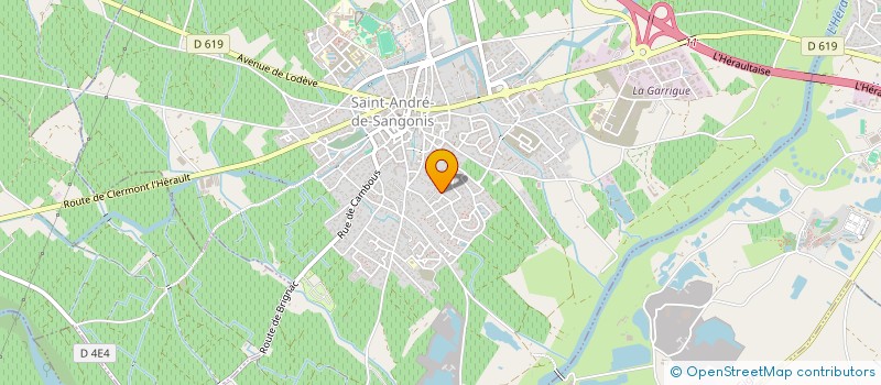 localisation de l'entreprise MADAME MARINA ZARAGOZA  SAINT-ANDRE-DE-SANGONIS